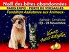 Le Noël des Animaux | Edition 2013 - 