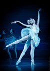 Le lac des cygnes | par le Grand Ballet de Kiev - 