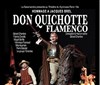 Don Quichotte Flamenco - 