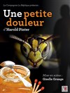 Une petite douleur, d'Harold Pinter - 