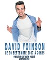 David Voinson - 