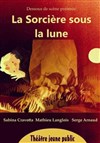 La sorcière sous la lune - 