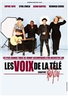 Les voix de la télé chantent Hallyday - 