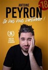 Antoine Peyron dans Je vais vous cartonner - 