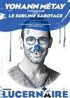 Yohann Métay dans Le Sublime Sabotage - 