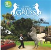 Parc Alexis Gruss | Journée - 