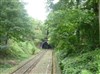 Visite guidée : La petite ceinture | Par Philippe - 