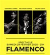 Soirée spectacle flamenco - 