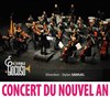 Concert du nouvel an - 