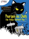 Pourquoi les chats ne nous parlent pas ? - 