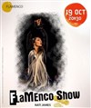 Flamenco Show - 