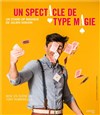 Un spectacle de type magie - 