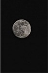 The Moon - 