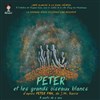 Peter et les grands oiseaux blancs - 