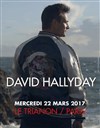 David Hallyday - 