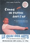 Comme un poisson dans l'air - 