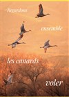 Regardons ensemble les canards voler - 