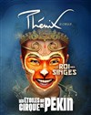 Cirque Phenix : Le Roi des Singes - 