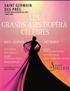 Les Grands Airs d'Opéra pour Mezzo - 