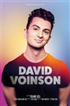 David Voinson - 