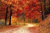 Sonate d'Automne - 