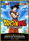 DragonBall in concert - 