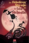 Le fabuleux voyage de la fée Mélodie - 