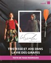 Tristesse et joie dans la vie des girafes - 