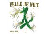 David Le Sueur dans Belle de Nuit - 