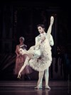 Casse Noisette | par le Grand Ballet de Kiev - 