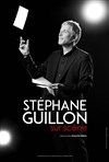 Stéphane Guillon sur scène - 