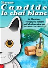 Mon amie Candide, le chat blanc - 