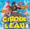 Le Cirque sur l'Eau | - Vierzon - 