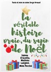 La véritable histoire vraie du sapin de Noël - 