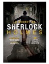 Le secret de Sherlock Holmes - 