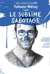 Yohann Métay dans Le sublime sabotage - 