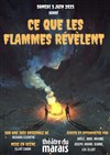 Ce que les flammes révèlent - 