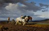 Visite guidée : Exposition Rosa Bonheur | par Loetitia Mathou - 