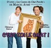 C'est toi le chat ! - 