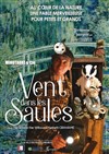 Le vent dans les saules - 