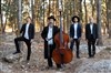 Nigun quartet - 