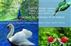 Nature et Animaux en Musique - 