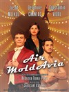 Air MoldAvia - 