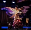 Kaena colora flamenco - 