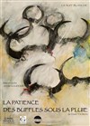 La patience des buffles sous la pluie - 