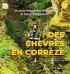 Des chèvres en Corrèze - 