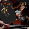 Flamenca Flamenco - 