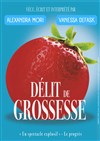 Délit de grossesse - 