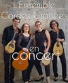 Ensemble cordes croisées - 