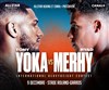 Tony Yoka vs Ryad Merhy - 